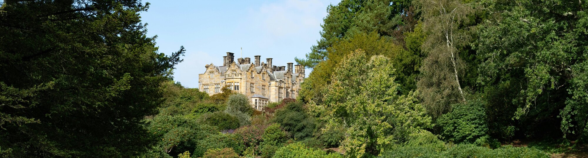 Scotney Castle seen across its wooded valley, the sandstone house rising above the treeline under a clear sky