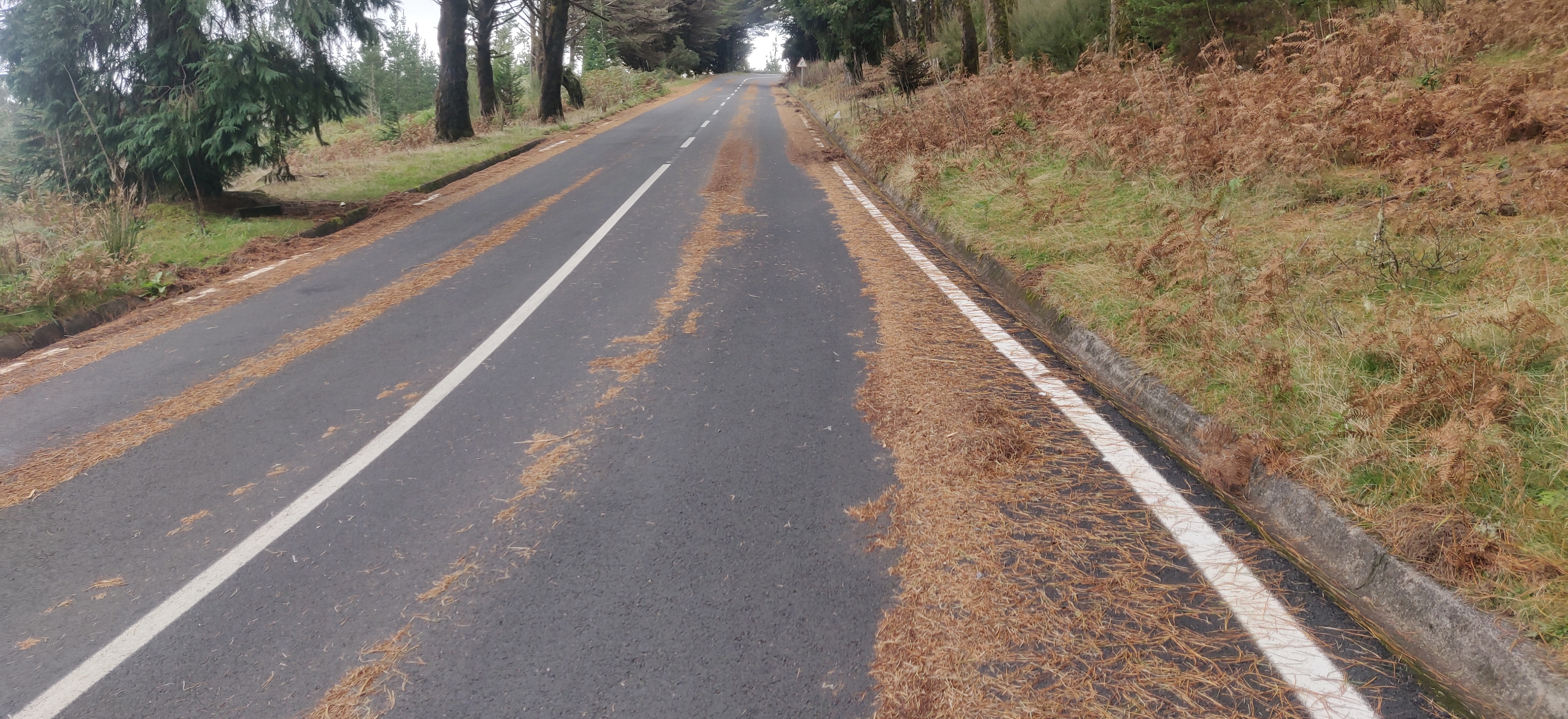 Madeira road cycling
