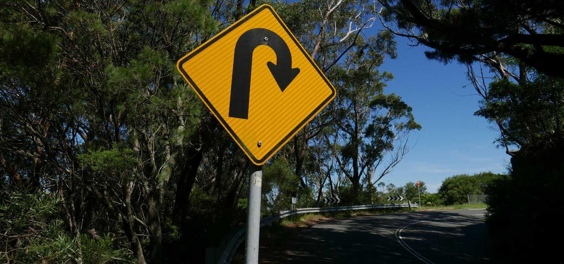 A yellow diamond road sign showing a hairpin u-turn arrow, on a bend of a tree-lined road
