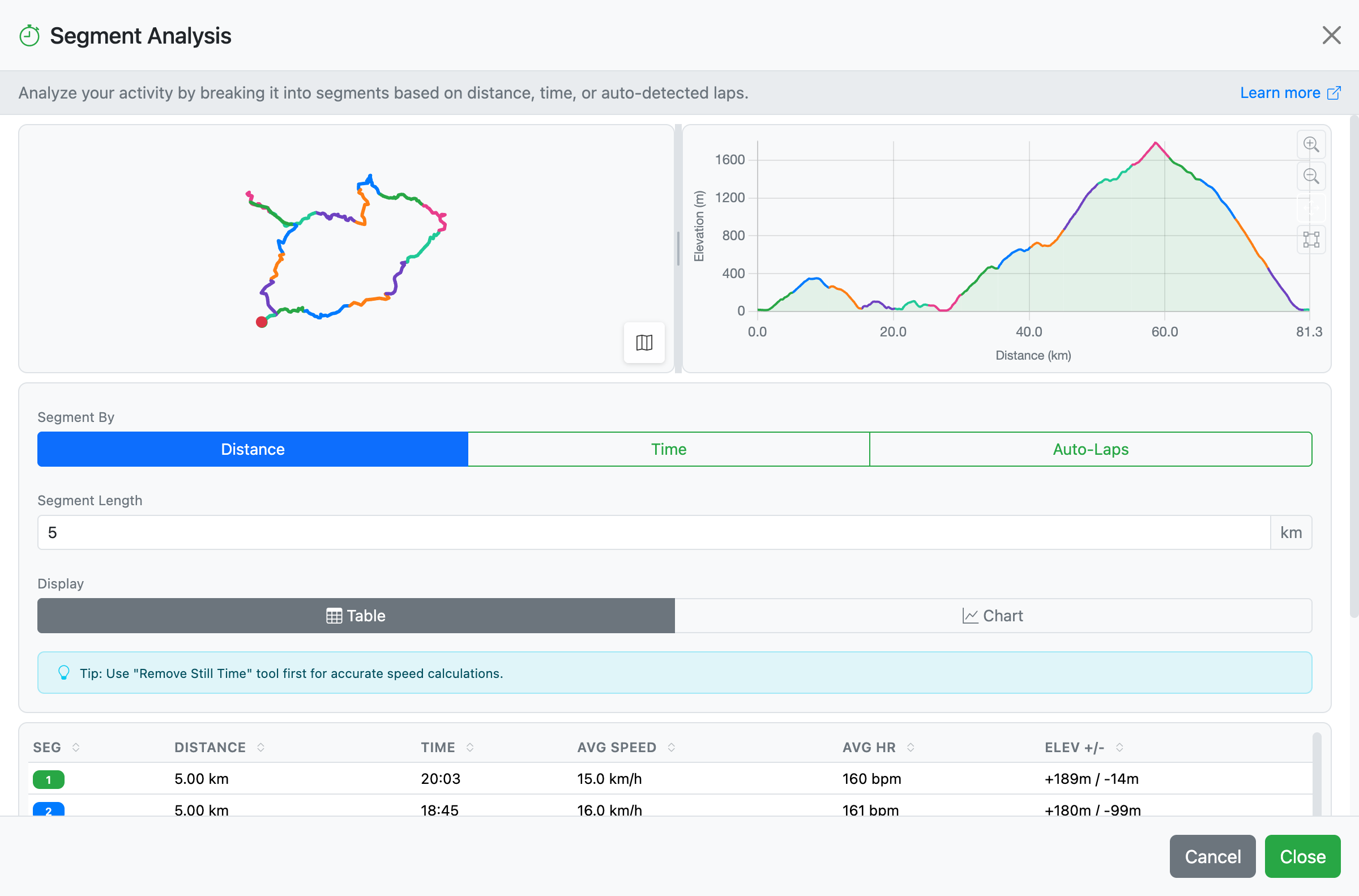 Segment Analysis