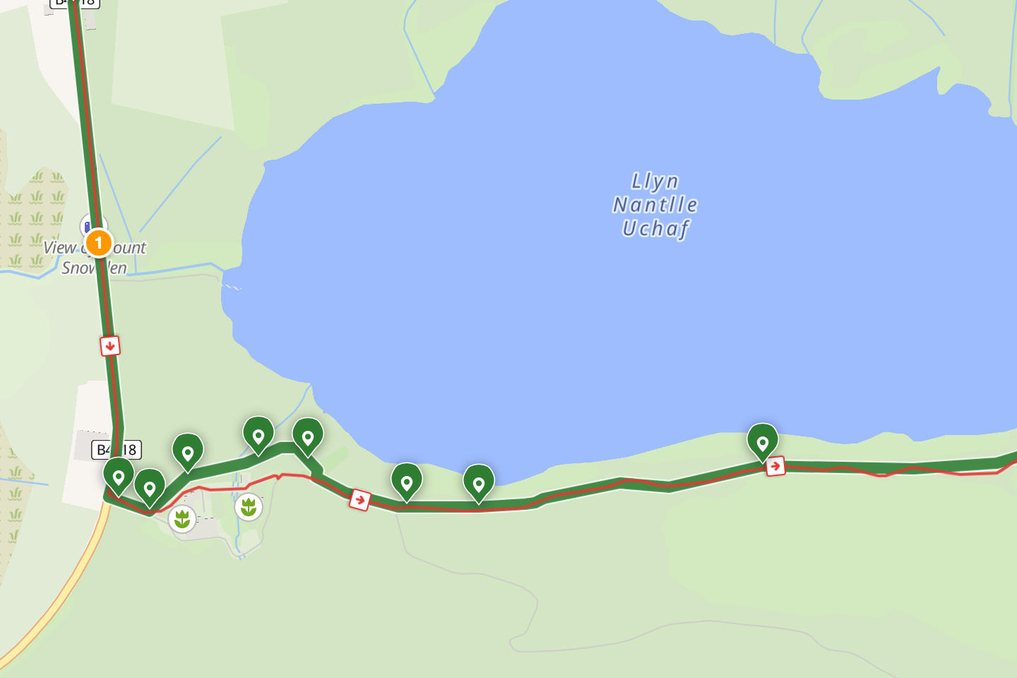 A map where the green recorded trail and the red matched line clearly take different paths around a lake, with a numbered orange pin marking the start of the disagreement